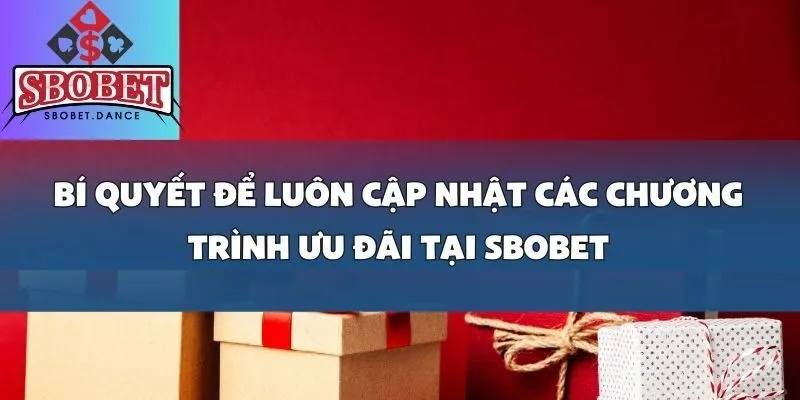 Tổng Hợp Các Chương Trình Ưu Đãi Giá Trị Mới Nhất Tại SBOBET